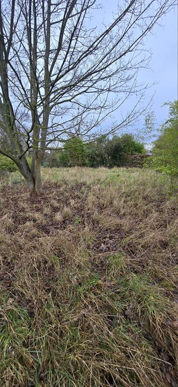 Terrain HAZEBROUCK (59190) CINIMMO