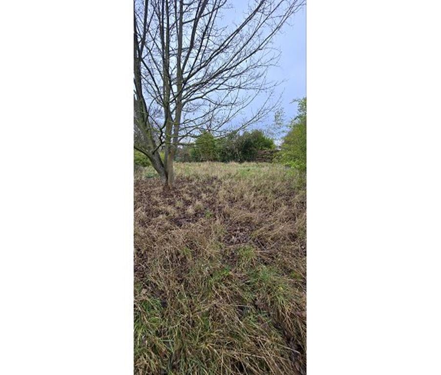 Terrain HAZEBROUCK (59190) CINIMMO